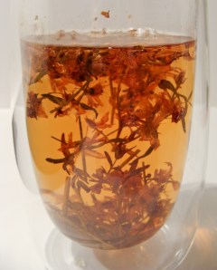 Origem herbal tea from Trás-os-Montes, Portugal.