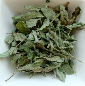 Handpicked thyme leaves